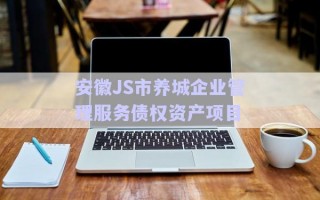 安徽JS市養(yǎng)城企業(yè)管理服務債權資產(chǎn)項目