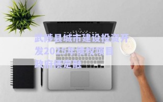 武陟縣城市建設(shè)投資開(kāi)發(fā)2025年債權(quán)項(xiàng)目政府債定融