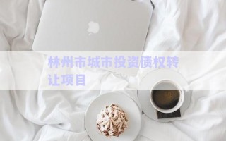 林州市城市投資債權(quán)轉(zhuǎn)讓項目