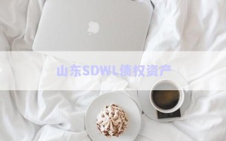 山東SDWL債權資產(chǎn) 山東SDWL債權資產(chǎn)