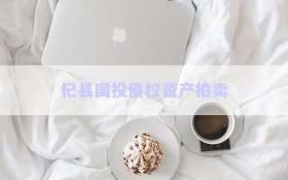 杞縣國(guó)投債權(quán)資產(chǎn)拍賣(mài)