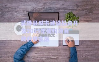 武陟縣城市建設投資開發(fā)2025年債權項目政府債定融