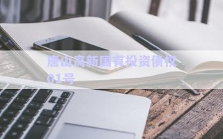 唐山高新國有投資債權01號