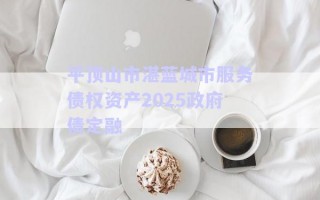 平頂山市湛藍城市服務(wù)債權(quán)資產(chǎn)2025政府債定融