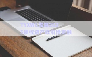 TYXWL發(fā)展2025債權資產(chǎn)政府債定融