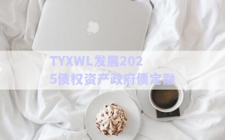 TYXWL發(fā)展2025債權資產(chǎn)政府債定融