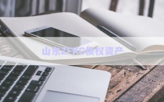 山東ZFKG債權(quán)資產(chǎn) 山東ZFKG債權(quán)資產(chǎn)