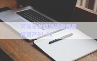 河南省龍翔建設發(fā)展債權(quán)資產(chǎn)01-02 河南省龍翔建設發(fā)展債權(quán)資產(chǎn)01-02
