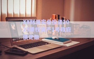 XX財(cái)源實(shí)業(yè)投資2025債權(quán)資產(chǎn)1號政府債定融