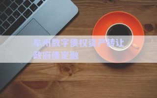 牟州數(shù)字債權資產轉讓政府債定融