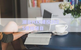 湖北HXX建投2025債權(quán)項(xiàng)目 湖北HXX建投2025債權(quán)項(xiàng)目