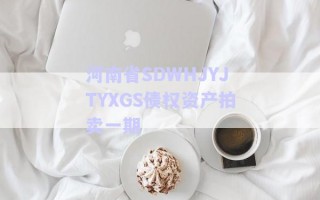 河南省SDWHJYJTYXGS債權資產(chǎn)拍賣一期