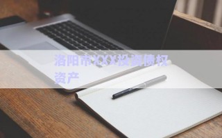 洛陽市XXX投資債權資產(chǎn)