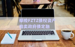 鄢陵FZTZ債權(quán)資產(chǎn)拍賣政府債定融 鄢陵FZTZ債權(quán)資產(chǎn)拍賣政府債定融
