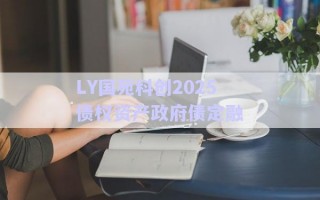 LY國(guó)苑科創(chuàng)2025債權(quán)資產(chǎn)政府債定融 LY國(guó)苑科創(chuàng)2025債權(quán)資產(chǎn)政府債定融