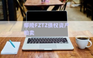 鄢陵FZTZ債權(quán)資產(chǎn)拍賣