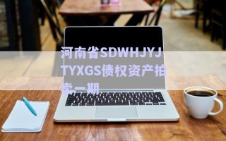 河南省SDWHJYJTYXGS債權(quán)資產(chǎn)拍賣(mài)一期