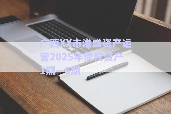 廣西XX市港盛資產(chǎn)運營2025年債權(quán)資產(chǎn)1期—6期-第1張圖片-政信固收網(wǎng)