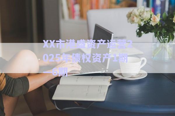 XX市港盛資產(chǎn)運(yùn)營(yíng)2025年債權(quán)資產(chǎn)1期—6期-第1張圖片-政信固收網(wǎng)