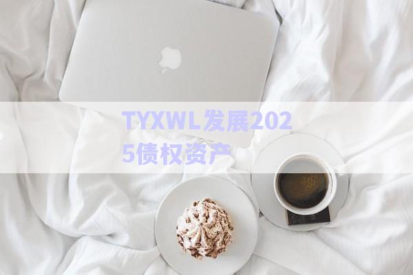 TYXWL發(fā)展2025債權資產-第1張圖片-政信固收網
