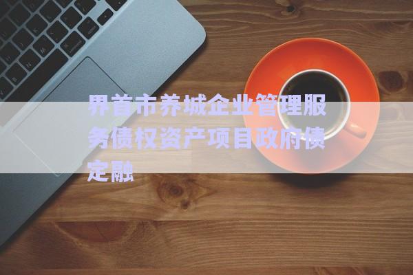 界首市養(yǎng)城企業(yè)管理服務債權(quán)資產(chǎn)項目政府債定融-第1張圖片-政信固收網(wǎng)