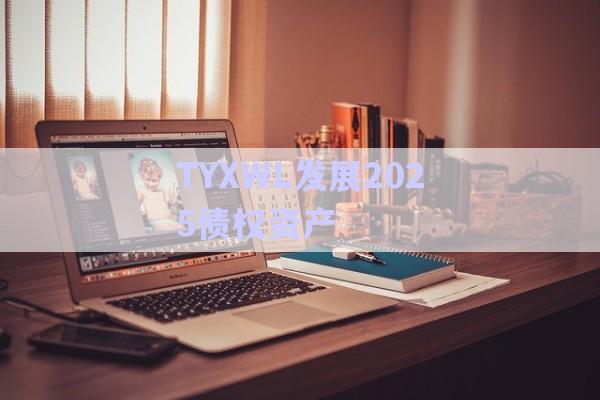 TYXWL發(fā)展2025債權資產-第1張圖片-政信固收網(wǎng)