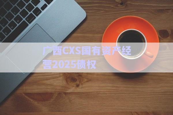 廣西CXS國有資產(chǎn)經(jīng)營2025債權-第1張圖片-政信固收網(wǎng)