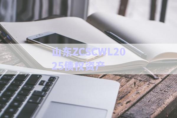 山東ZCSCWL2025債權資產(chǎn)-第1張圖片-政信固收網(wǎng)